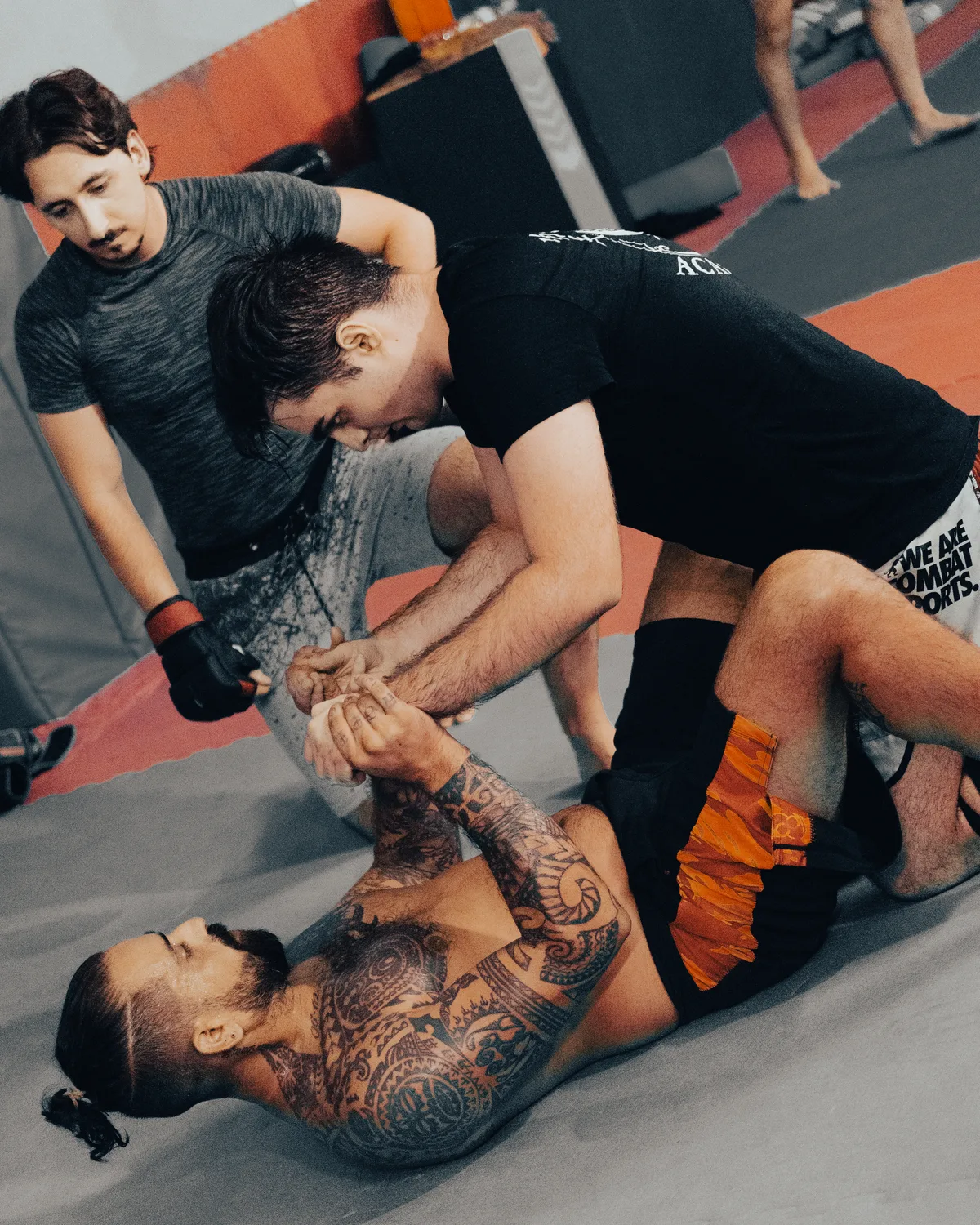Allievi di MMA durante un lavoro di grappling a terra